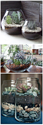 Terrariums...bottom layer of rocks or stones to maintain root drainage, layer of soil, plant beautiful succulents, top off with an optional decorative layer of different colored pebbles. Easiest & quickest way to bring style to your home