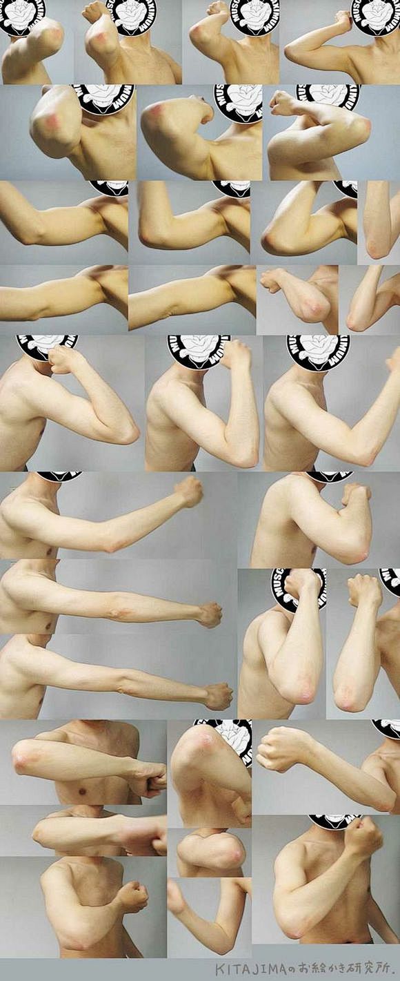 【图片】【教程】关于手臂结构的解析【自学...