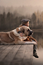 earthyday:

Autumn lake  by Elena Shumilova
