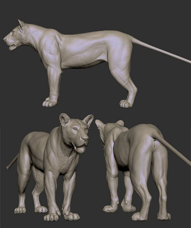 Lioness Sculpt: