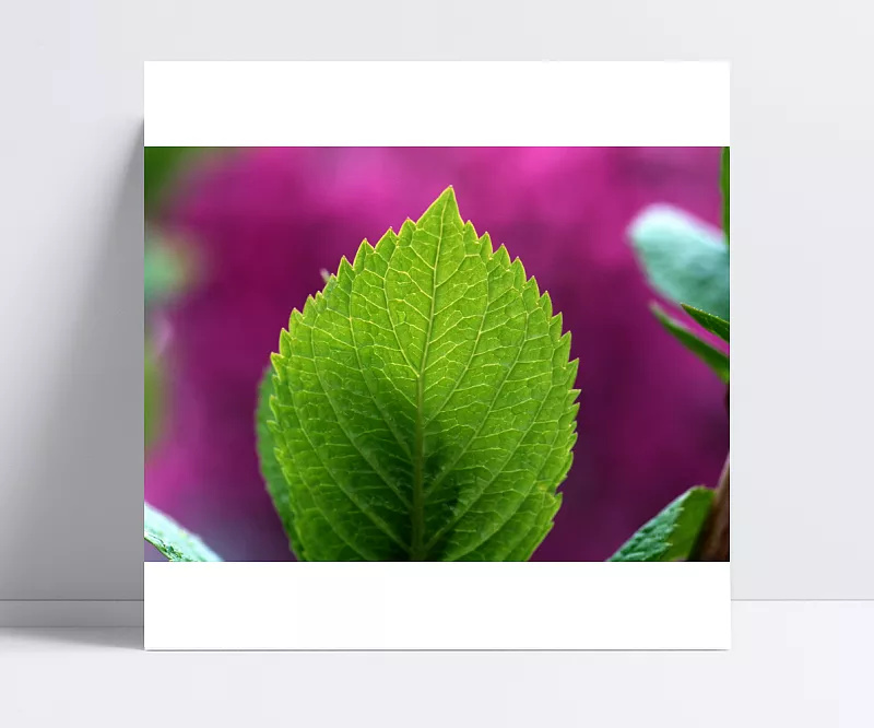 e50b4917c4c59065ed53ea94f3a75b8958f294b65afc-C4L9GM