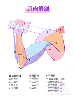 木叶下采集到P_手绘