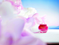 LOCCITANE-Pivoine-Sublime_3.jpg 5,000×3,757 像素