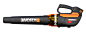 Worx blower 40V Brushless : Worx blower 40V