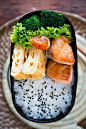 Japanese Salmon Bento Lunch | Bento | Pinterest