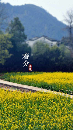 朝暮之外采集到向往之地