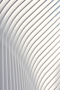 calatravas-wtc-transportation-hub-photographed-by-hufton-08