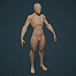 Stylized Female - Modular Base Mesh - Download, Salvatore Ditrani : This is a modular basemesh I modeled as a start for my future stylized female characters. Is pretty simple and every module is separated and dynameshed. Done with Zbrush 2019.
You can dow