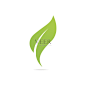 Eco icon green leaf vector illustration isolated.