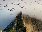 圣基达群岛，波雷岛：一群群海鸟在天空翱翔，狭窄的岩脊上散布着许多鸟巢。波雷岛北端的海拔高度只有384公尺，但是经常笼罩在云雾里。世上最大的塘鹅群在这里和附近的孤丘上繁殖，大约有6万对左右。以前圣基达岛民为了维持在这个偏远地方的生活，会赤脚攀爬这些危崖，抓取鸟和鸟蛋。