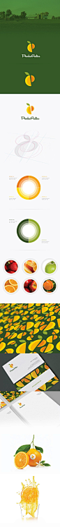 水果公司视觉识别设计/柠檬标志/水果LOGO/水果标志