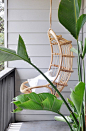 MY FAVORITE THINGS: A RATTAN HANGING CHAIR | THE STYLE FILES