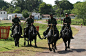 在巴西的亚马逊河三角洲MARAJ岛上，巴西帕拉州军事警察的巡逻坐骑是水牛。
MARAJ岛地形多为水网和沼泽湿地，水牛具有无可比拟的通过优势。
45岁的军警克劳迪奥·维特利说：“我经常骑在水牛上进行巡逻和追捕嫌犯；另外，水牛让我更平易近人，也让我的工作变得更轻松。”
（BBC） ​​​​