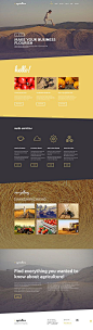 Graphic and website design: Agriculture Business Site