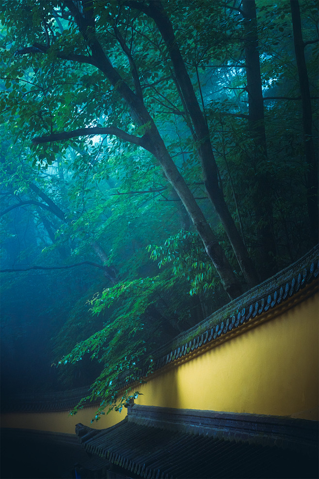 深山藏古寺