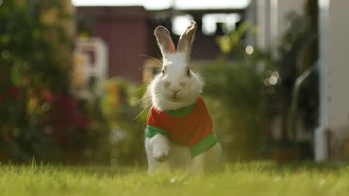 e56dcf062c8be2a43ecc1f6db5780c4076cfdce054fb-SJSyu1