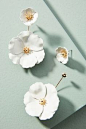 Shop the Captiva Floral Front-Back Earrings and more Anthropologie at Anthropologie today. Read customer reviews, discover product details and more.