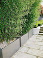 This is an example of a modern landscaping in London.
