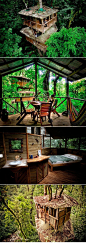 Finca Bellavista: A Community of Amazing Treetop Homes in Costa Rica