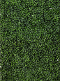 Green faux boxwood plastic mat retail store window display props spring summer grass wedding ceremony backdrop DIY bride groom tv set stage movies