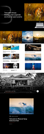 Tourism Authority of Thailand on Behance