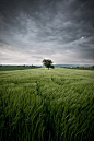 Stormy Afternoon, Teningen, Baden-Wurttemberg, Germany