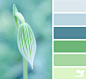 Design Seeds® | find your palette