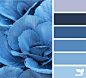 Design Seeds : Design Seeds color palettes ... posted daily for all who love color.