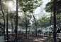 Vivid landscape visualisation: light coming through dense trees iluminating a lively food truck court