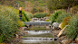 Playa Vista Central Park | OJB Landscape Architecture : Playa Vista Central Park in Los Angeles is a 9-acre park organized into a series of distinct landscape experiences unified by a central spine and linear bands of specimen trees.