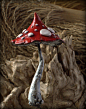 Red white black magic polymer clay toadstool Home decor,Fairy Garden : Red white black fantasy mushroom for fairy gardens,pot decor, interior or exterior inhabitant.Elves,gnomes,fairies and of course trolls are his\hers