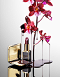 289_SHE-86-39-Still_life_product_photographer_Dennis_Pedersen_advertising_editorial_Creative_beauty_cosmetic_makeup_lipstick_compact_powder_blush_gold_orchid_flower_blob_spill_drip_pour_reflection_glossy_luxury_tomford_red.jpg (1177×1500)