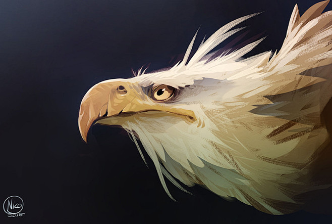 Eagle, Nicola Savior...