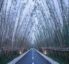 小魚從未食飽過采集到E市政公共空间-道路