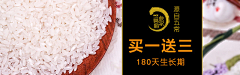 Lily猫公子采集到原创五粱红大米