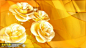 金色的玫瑰花视频素材婚礼片头LED屏幕下载_婚庆视频素材_素材风暴(www.sucaifengbao.com) #采集大赛# #视频# #素材#