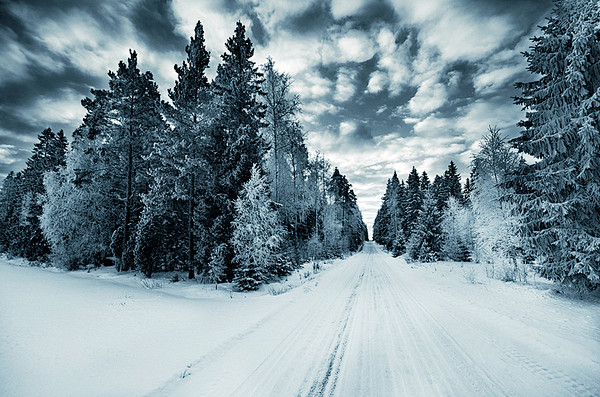 50张唯美的冬季摄影作品_PS家园网