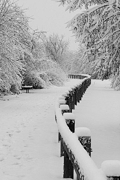 蕩失璐采集到雪景