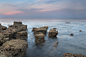 Reunion. : Where the tide meets the shore@North Yorkshire.