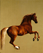 Whistle Jacket, George Stubbs