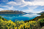 General 1300x864 nature landscape lake yellow wildflowers turquoise water reflection mountain clouds spring New Zealand