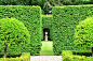 景观绿篱植物设计图集丨绿墙模纹花坛/法式园林花园/植物树木修剪迷宫