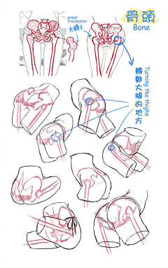 梦中我有一头迷人长发采集到绘画结构