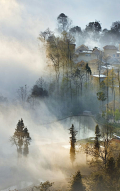 雾里江南采集到景；摄影