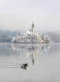 Bled Island, Lake Bled, Slovenia。斯洛文尼亚西北部上卡尼鄂拉地区的布莱德岛，是斯洛文尼亚唯一一座天然岛屿，位于布莱德湖，岛上有几座建筑，最大的是圣母升天教堂，像童话世界般美好。今天，它是一个重要的会议中心和旅游度假区，提供各种体育活动（高尔夫，钓鱼，马术），是背包客和远足的出发点，特别是在附近的特里格拉夫国家公园。