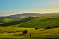 意大利Tuscany山户外风景 - 图虫创意图库正版图片,视频,插图,微博微信公众号配图,自媒体素材