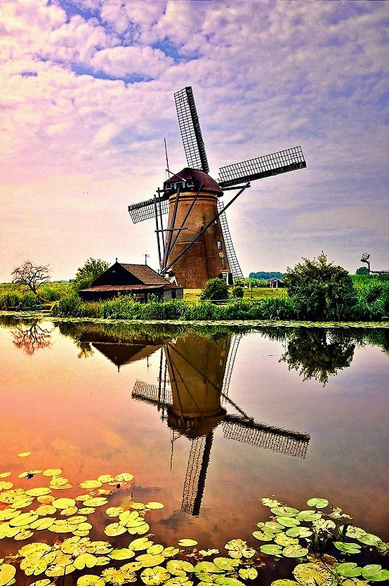 旅行风景 旅游 荷兰，风车。