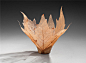来自 Kay Sekimachi 的系列作品，叶碗（Leaf Bowls）。Sekimachi收集枯叶，然后经过特殊处理使叶子的脉络裸露，再进行折叠造型后用水彩、褚、纸及喷漆等工艺将其塑造成碗状的雕塑品，通过这些美丽的作品，弥漫出秋天，大自然的气息。