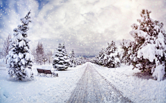 蕩失璐采集到雪景