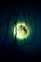月。#月空# #夜空# #摄影师# #美景#